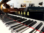 Yamaha G5 Grand Piano (Reconditioned) | Thompson Pianos