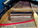 Yamaha G5 Grand Piano (Reconditioned) | Thompson Pianos