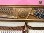 Sinopoli Upright Piano | Thompson Pianos