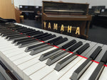 Yamaha GB1K Baby Grand Piano | Thompson Pianos