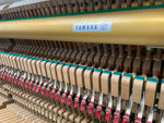 Yamaha U1H (Factory Reconditioned) | Thompson Pianos