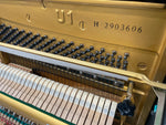 Yamaha U1H (Factory Reconditioned) | Thompson Pianos