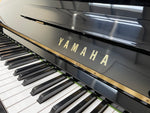 Yamaha U1M (Factory Reconditioned) | Thompson Pianos