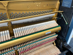 Yamaha U1M (Factory Reconditioned) | Thompson Pianos