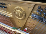 Yamaha U3M (Factory Reconditioned) | Thompson Pianos